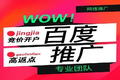 短视频平台的SEM推广实践与效果